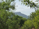 Finca Cala Sanau Blick auf Sant Salvador 10610