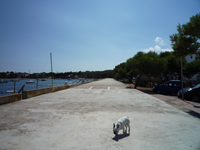 Hafenpromenade Porto Colom1