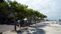 Hafenpromenade Porto Colom2