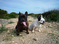 Hunderunde Sa Punta
