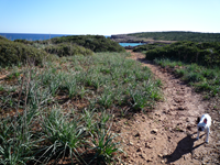 Weg von Porto Colom nach Cala Murada