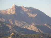 Mallorca Puigmajor