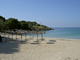Immobilien - Urlaubsinsel Mallorca - Wissenswertes für Finca-Besitzer und Urlaub auf Mallorca